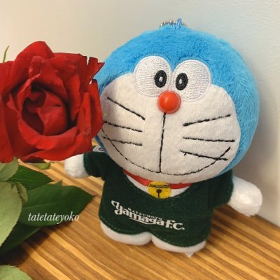 yok0403's profile picture. 山雅サポーターの応援大好きです💚日本全国どこへでも観戦にいきます🏟サッカー好きな人仲良くして下さい ♡ 😋David Luiz🇫🇷Paris Saint-Germain