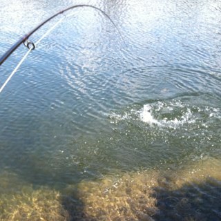 Micheál Ó Caiticín Profile