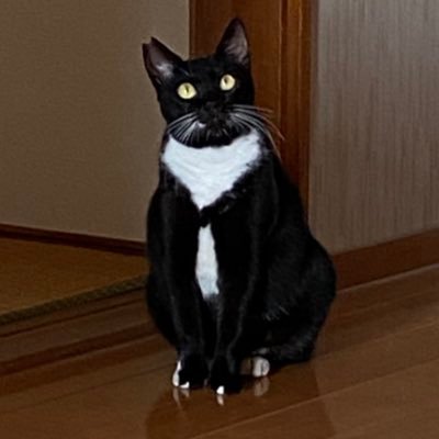 moyashiaiai2's profile picture. 2021.8〜自己免疫性肝炎になりました。人生初の難病にとまどっています。いろいろ教えてください🦍無言フォロー失礼します