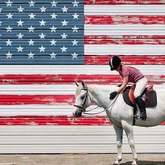 SarahCampbellB6's profile picture. 