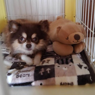 eri_3jsb0722's profile picture. 霊界&UFO信じる派/心霊系YouTuberさん特に応援したいです☺️👻 オウマガトキFILM（メンバー）ゾゾゾ、泡まみれボーイズ🤡 MTV、ニンゲンTVなどたくさん🥰お気軽に宜しくお願いします💖無言フォロー失礼致します🙇‍♀️💖#断熱材アート、作品に関するお問い合わせ等ございましたらDMまで🐉🐉🐉