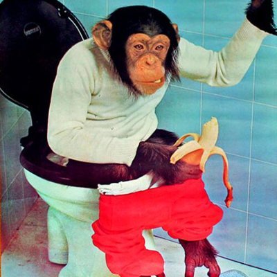 DuchoDepe's profile picture. Cosas que a nadie le importan