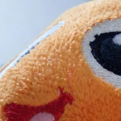 nimokitichan's profile picture. 