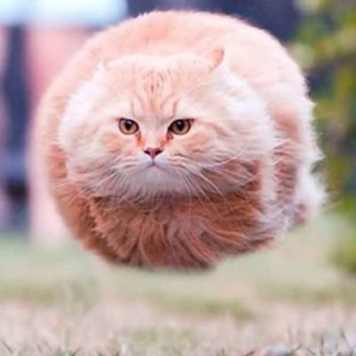 OjikJoinTweet's profile picture. Saya tak tau ape ape.......