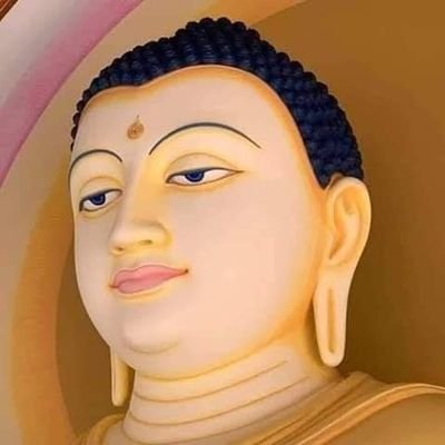 Vishal951953's profile picture. 100% follow back