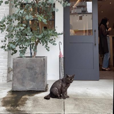 09_za_e's profile picture. 