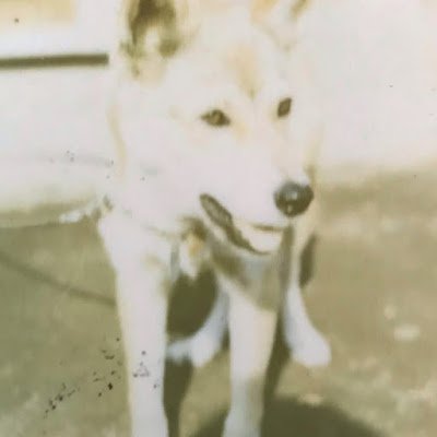 ccS4JhcPTrR2j61's profile picture. 前向きに生きましょう