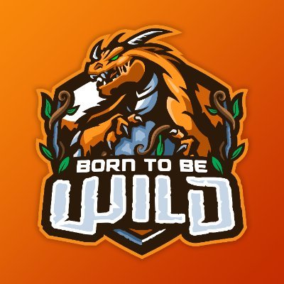 BornToBeWildHS Profile Picture