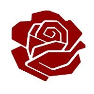 Mitglied der Sozialdemokratischen Partei der Schweiz - Demokratischer Sozialist - gläubiger Christ