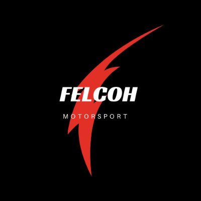 FelcohMotor's profile picture. Enjoy your e-moves!