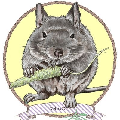 DeguCamper's profile picture. 念願叶って軽キャン「k-ai」を相棒に迎え入れました。車中泊やキャンピングカーのこと、我が家の仲間デグーやセキセイインコたちのこと、徒然なるままに。InstagramではXに載せられなかった写真も投稿していますので、よろしくお願いします。↓↓↓