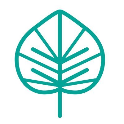 johnplant60's profile picture. We created https://t.co/gFpOHZXPQH in May 2021. This enables us to offer over 400 varieties to the Hosta loving public, and they are able to buy Hostas from us online.