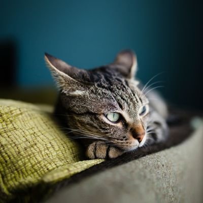 Hot345shot's profile picture. 日々、いろいろな刺激を受け
未だに成長しています
よろしかったら、仲良くして下さい