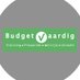 Budgetvaardig (@budgetvaardig) Twitter profile photo
