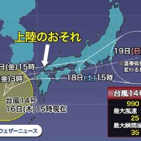 台風14号 (@sashimi_deth) 's Twitter Profile
