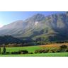 Free South African website directory with links to South African websites. Web Directory of South Africa. Links to web indexes on different of topics relating t