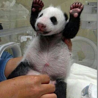 momo96432's profile picture. Twitterを始めたばかり😅