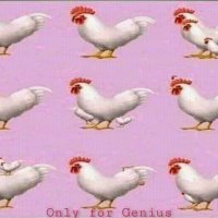 Olgun Karım (@olgunkarm1) Twitter profile photo