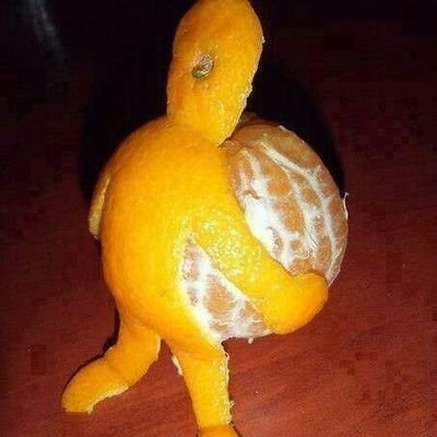 kidipiw's profile picture. 