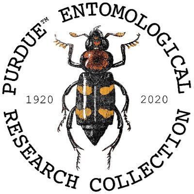 The Purdue Entomological Research Collection is the largest collection of insects in Indiana—over 1.3 million specimens! Housed in @PurdueInsects