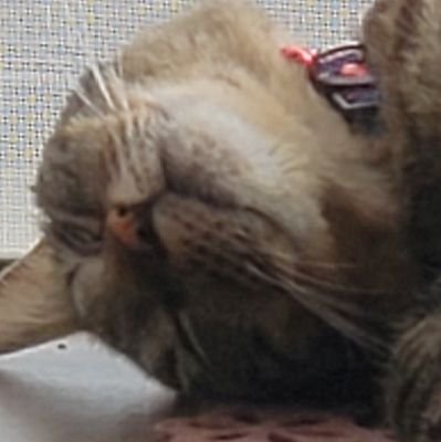 mkDMMWEBCAMP's profile picture. 27歳 / 元 放射線技師 
DWC4月生
Shuffle