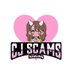 CJ SCAMS (@CjScams) Twitter profile photo