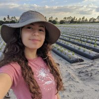 Elissar Alam (@elissaralam) 's Twitter Profile Photo Elissar Alam (@elissaralam) 's Twitter Profile Photo