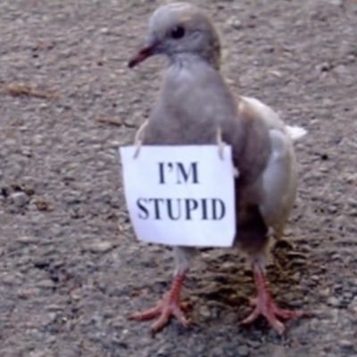 audreyyturnerr's profile picture. 