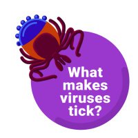 What makes viruses tick?(@VirusesTickCVR) 's Twitter Profile Photo