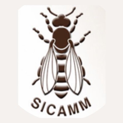 SicammF's profile picture. Beekeepers, associations & scientists working together to protect the threatened subspecies Apis mellifera mellifera #bees #conservation #honeybees #nature
