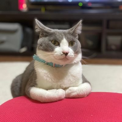 キラ 。のプロフィール写真