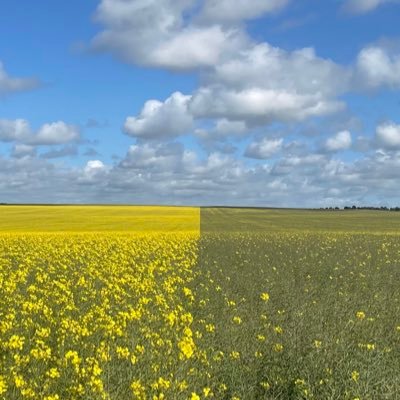 AndrewShearing's profile picture. Agriculture WA grainbelt