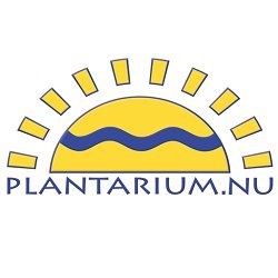 Sinds 1993 zet Plantarium zich met liefde in voor de kleinschalige kweek van (medicinale) cannabis. Onze winkel is elke geopend (check website voor tijden)