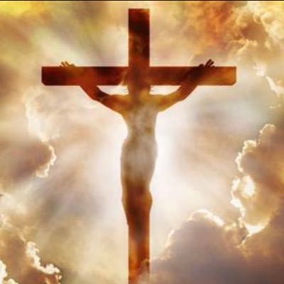 blitz455's profile picture. 🇺🇸