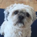 Jeri Slater - @JeriSlater11 - Twitter