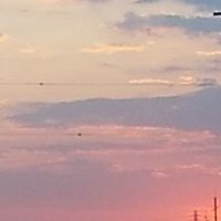 まなは (@seidayo_hoshi) 's Twitter Profile