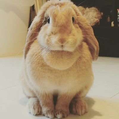 なま子さんのプロフィール画像