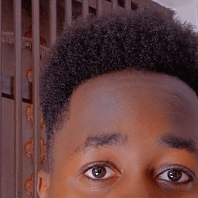 DanteEMunyaka's profile picture. |Computer Science Major|Front-End Developer|Digital Creator/SMM|Graphic   Designer|Avid Reader|Basketballer|Swimmer|Chess Player|Anime|Car/Bike Enthusiast|