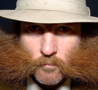 werty81's profile picture. bob loblaw its about the Ps & the Ts.........