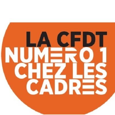 CfdtGuyancourt's profile picture. Section syndicale CFDT de Renault Technocentre-Aubevoye