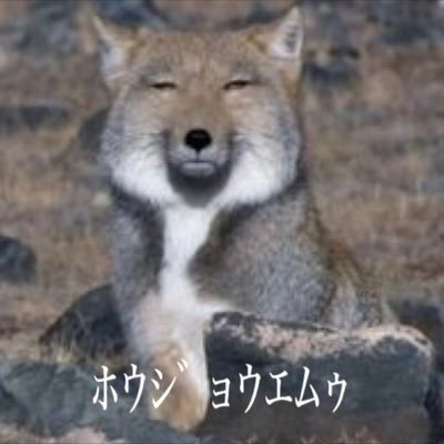 風来坊（通りすがり）さんのプロフィール画像