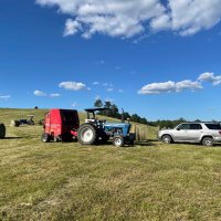 Creech Farms (@creech_farms) 's Twitter Profile Photo Creech Farms (@creech_farms) 's Twitter Profile Photo