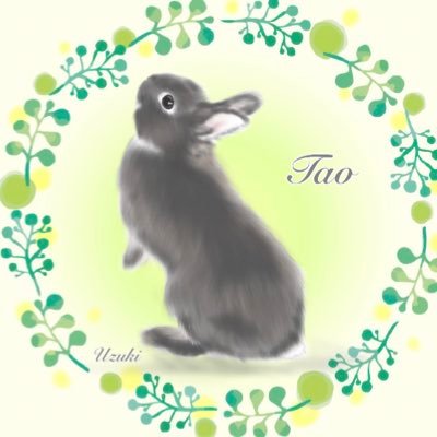 🐰タオとモカち🐱さんのプロフィール画像