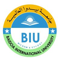 Baidoa International University(@BIUuniversity) 's Twitter Profile Photo