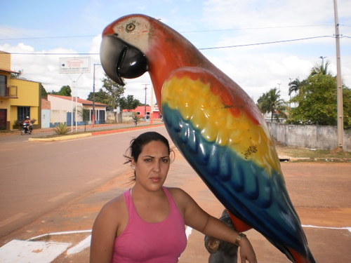 Sou uma pessoa tranquila, nascida no interior do estado do Acre. Morro a pouco tempo em pvh e estou muito feliz porque voltei a estudar, era tudo que eu queria.
