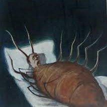 GeckoInvasive's profile picture. Disabled,  sexual assault survivor, Karen O is my Spirit Animal, people in the south are nicer