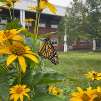 Native Ecology @ NHS (@nativeeconhs) 's Twitter Profile Photo