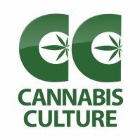 cannabis culture downtown Vancouver ✨