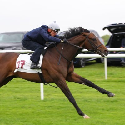 Church Farm Stables Profile
