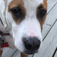 Resistance@isntfutile (@resistanceisnt1) 's Twitter Profile